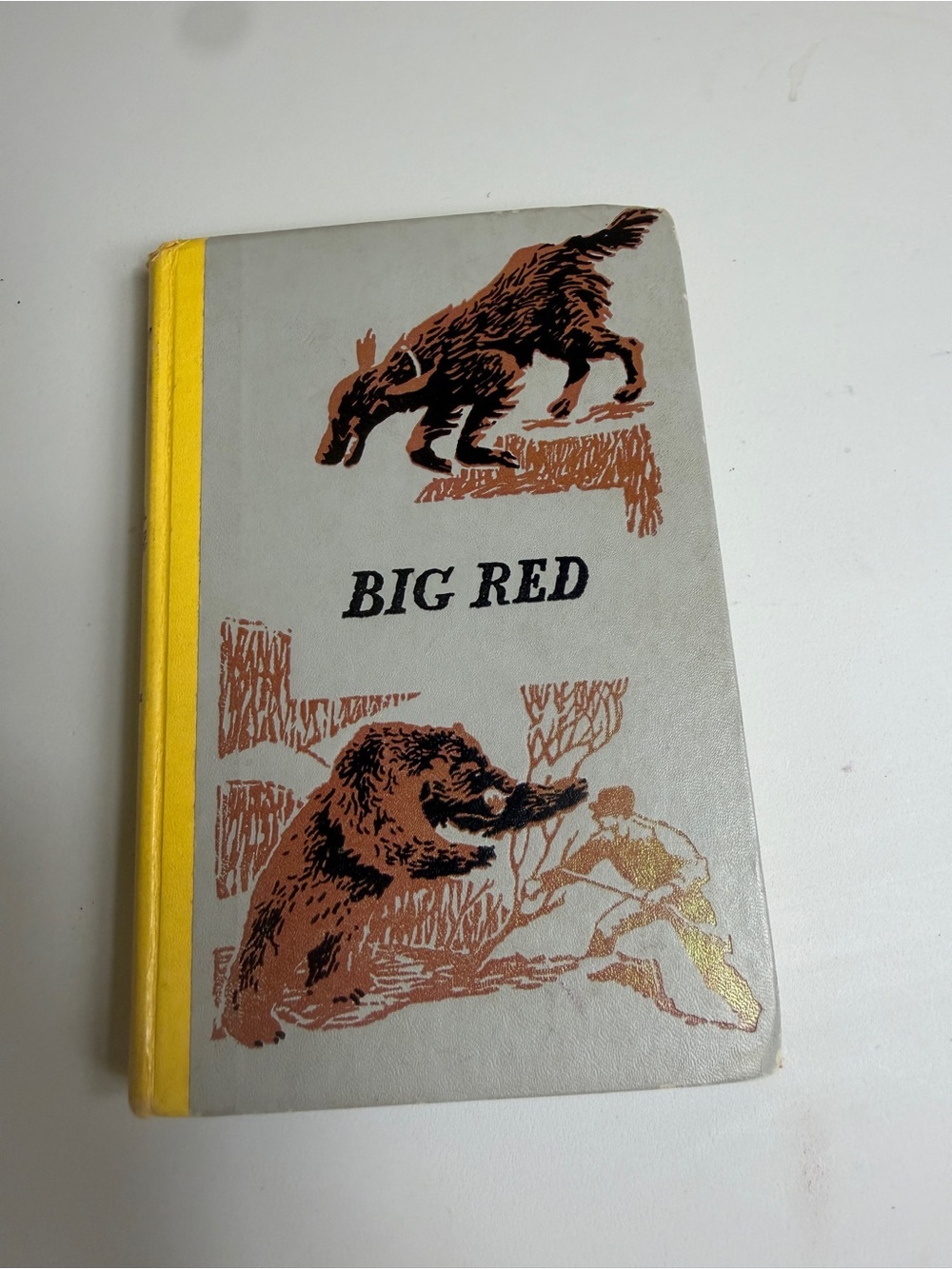 Vintage Big Red Hardcover Book by Jim Kjelgaard 1966 Nelson Doubleday Inc.